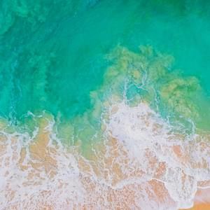 Meet your Posher, Glenda